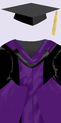 A black cap with a gold tassel. A black robe with purple facings down each side in the front and around the bell-shaped sleeves; black hood lined with purple.